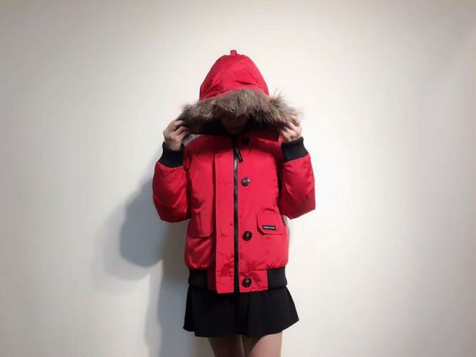 canada goose-018